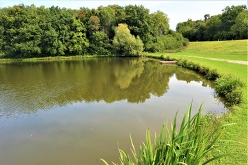Wald - Wasser - See - Spiegelung