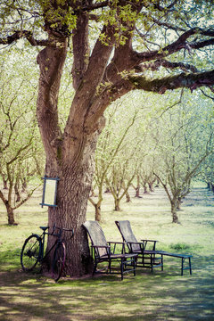 chaise longue et vieux v&eacute;los sieste sous les arbres 