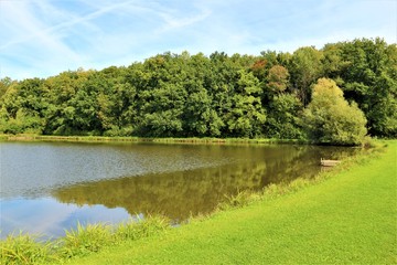 Wald - Wasser - See - Spiegelung