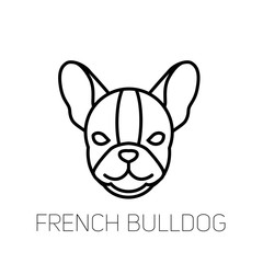 French bulldog linear face icon. Isolated outline dog head vector