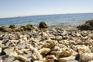 Fototapeta na wymiar stony shore and sea