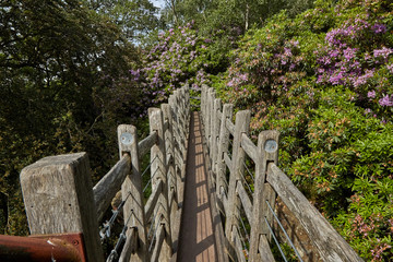 The wooden bridge across the gorge.