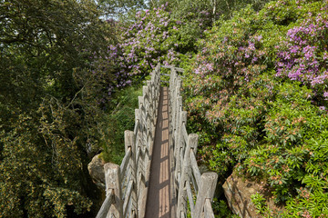 The wooden bridge across the gorge.