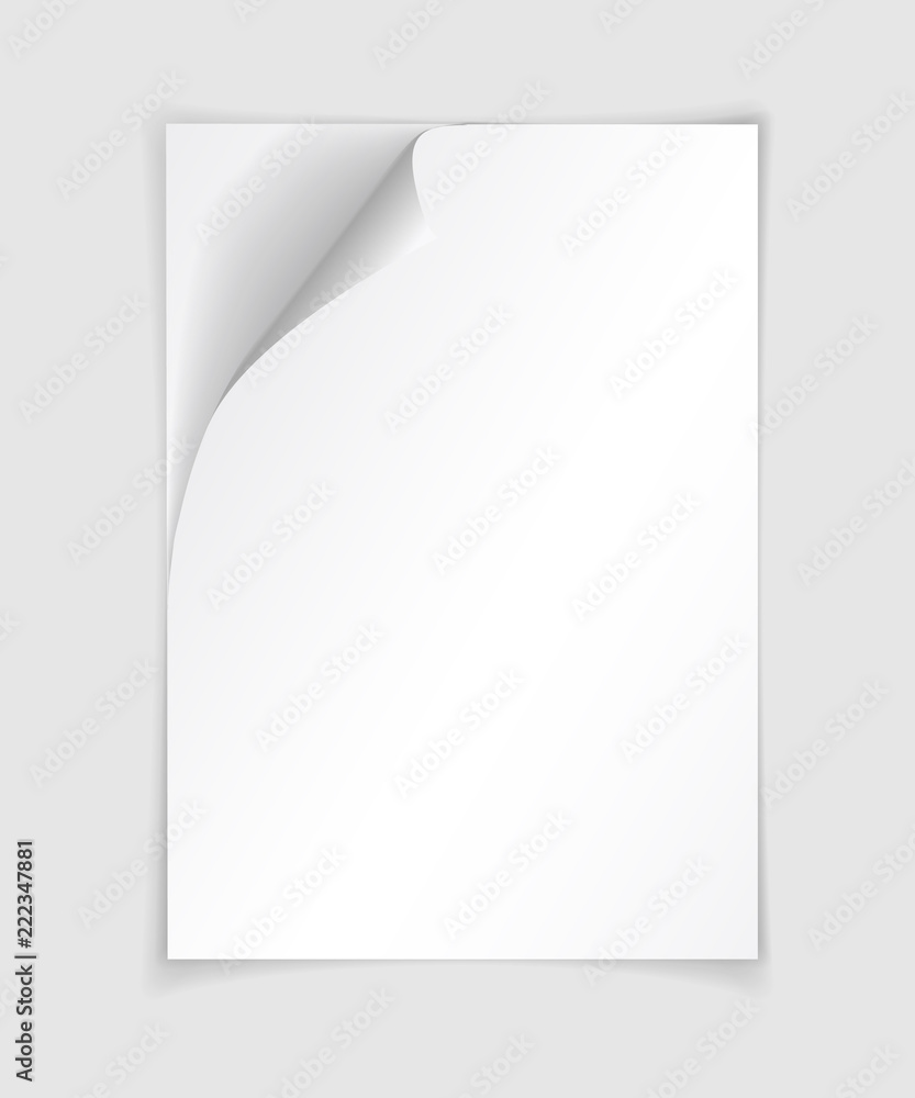 Poster vector white realistic paper page with curled corner. paper sheet folded with soft shadows on light 