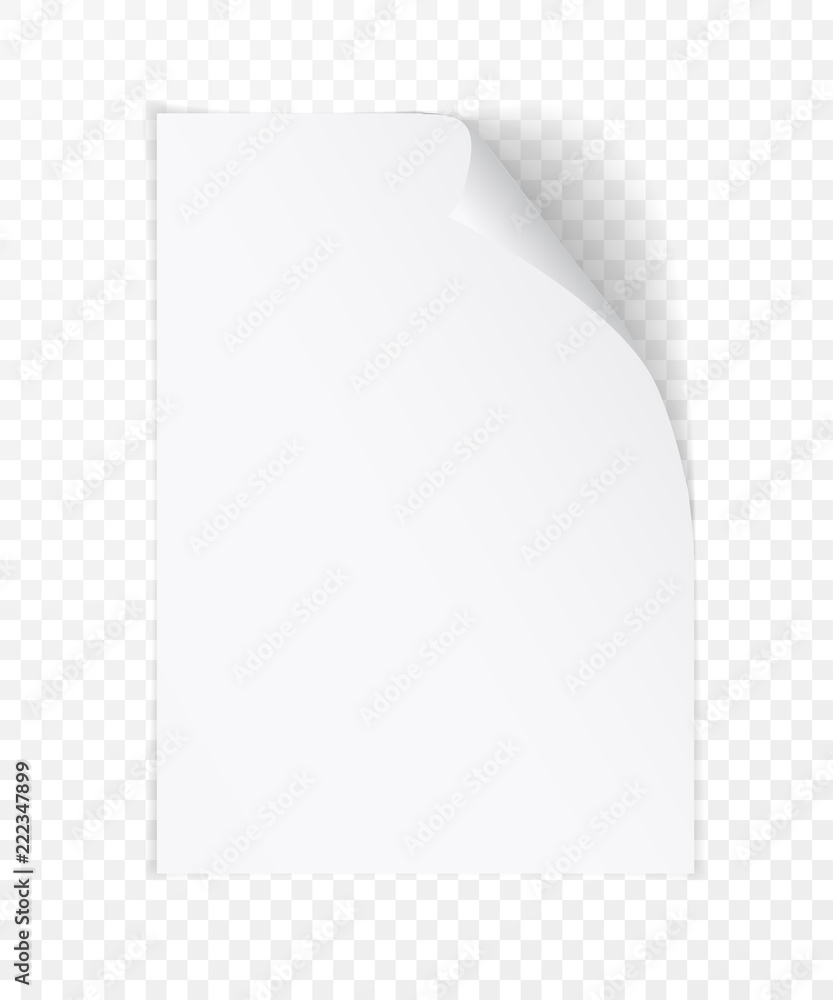 Poster vector white realistic paper page with curled corner. paper sheet folded with soft shadows on light 