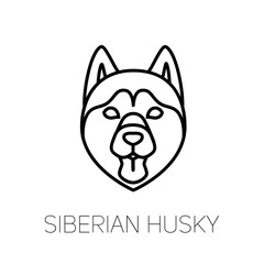 Siberian Husky tongue out. Dog breed linear face icon. Isolated vector line dog head