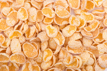 close-up of corn flakes