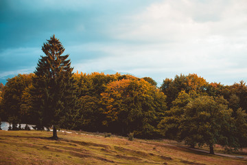 Fototapeta premium Autumn Landscape