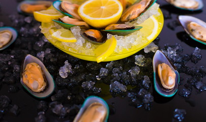 Food. mussels, vegetables, yellow plate, black background, ice
