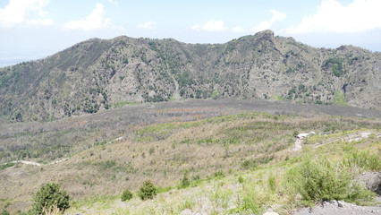 Vesuvio volcano Monte Somma crater © Martin