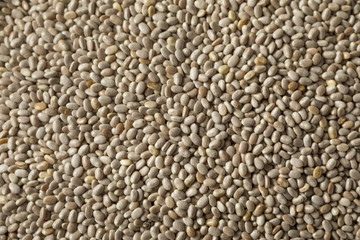Dry Organic White Chia Seeds