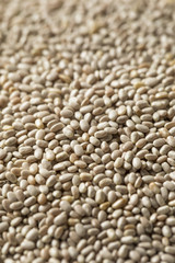 Dry Organic White Chia Seeds