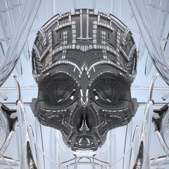 skull / death mask