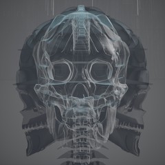 skull / death mask