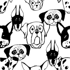 Seamless pattern with Dog breeds. Bulldog, Husky, Alaskan Malamute, Retriever, Doberman, Poodle, Pug, Shar Pei, Dalmatian. Hand drawn black and white vector illustration Doodle style design