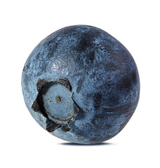 Fresh blueberry isolated on white background with clipping path