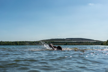 Fototapeta premium Man swimming in a lake