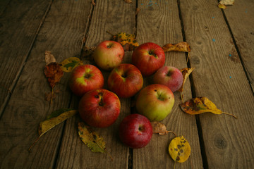 Autumn still life with apples.