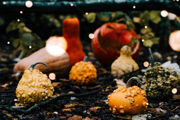 Different kinds of pumpkins with fairy lights