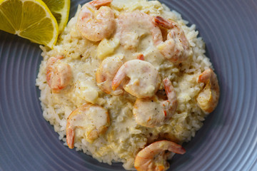 Shrimp in cream sauce with rice
