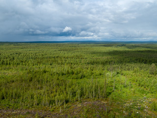Fototapeta na wymiar Endless forest with mountains in the horizon, Lapland Finland