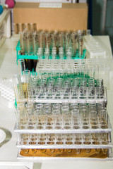 Glass test tubes are placed in a support