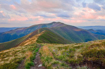 Obraz premium View of the mountain range at sunrise. Summer mountain landscape