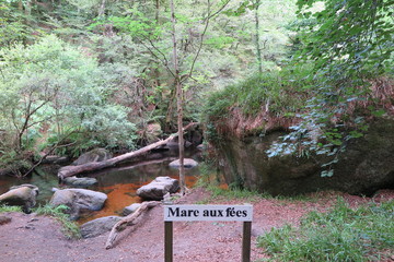 Im Wald von Huelgoat, Bretagne