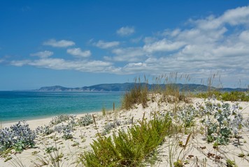 Ocean landscape with beach sea view, sand dune and grass, blue sky with clouds
