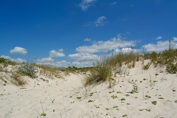 Ocean landscape with beach sea view, sand dune and grass, blue sky with clouds