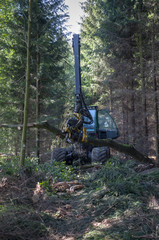 The harvester working in a forest. Closeup with shallow DOF