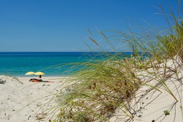 Ocean landscape with beach sea view, sand dune and grass, blue sky with clouds