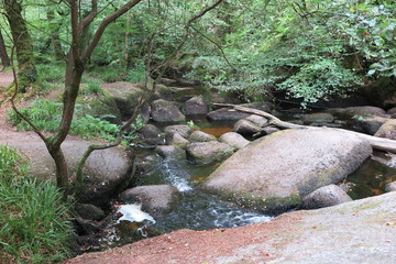 Im Wald von Huelgoat, Bretagne