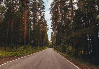 Driving on a narrow road through the forest in Punkaharju Finland