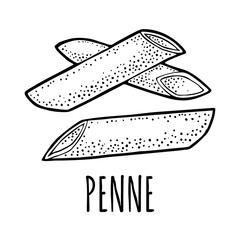 Pasta penne. Vector vintage engraving black illustration