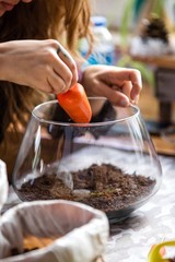 Terrarium planting in workshop event