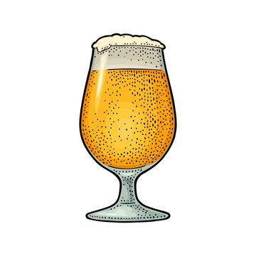 Glass beer. Vector engraving color vintage illustration isolated on white