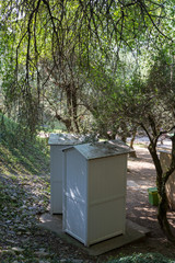 outdoor wooden toilet in the park