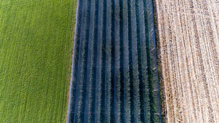 plantations with anti-hail nets view from above 