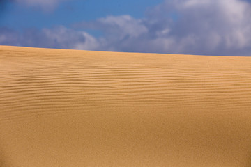 Sand Dune