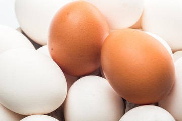 White Eggs and Two Brown Eggs in a Bowl - Close Up
