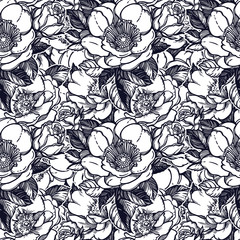 Vector seamless pattern with peony flowers.