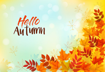 Autumn Background With Colorful Leaves. Vector