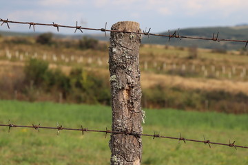 barbed wire fence and wooden pole
