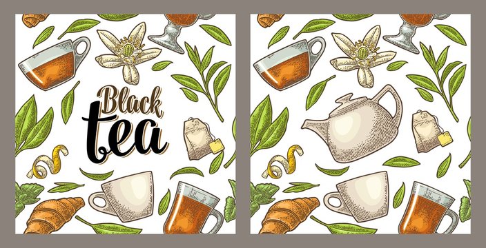 Fototapeta Seamless pattern tea with branch and leaf. Vector vintage engraving