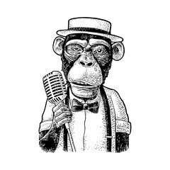 Fototapeta premium Kapelusz, koszula, muszka małpa z mikrofonem. Rytownictwo