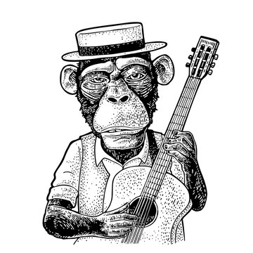 Monkey dressed hat and shirt holding guitar. Engraving