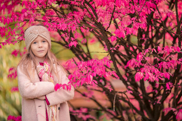 Naklejka premium Adorable little girl at beautiful autumn day outdoors