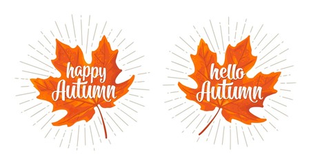 Maple leaf. Vector vintage color flat illustration.