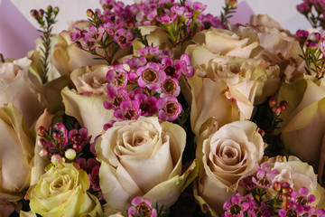 Fresh roses bouquet